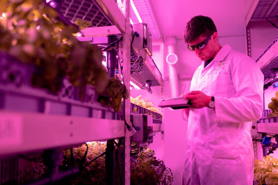 The Growth of Sustainable Vertical Farming Systems 4 Photo Sustainable Vertical Farming Systems