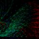 Photo Data Visualization