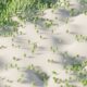 Photo Low Carbon Footprint AI Models