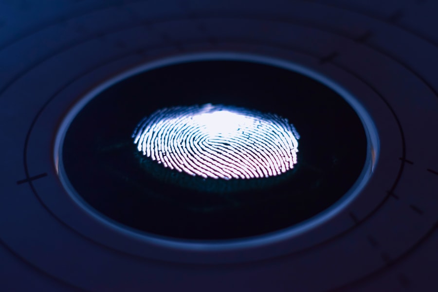 Fraud Detection Systems