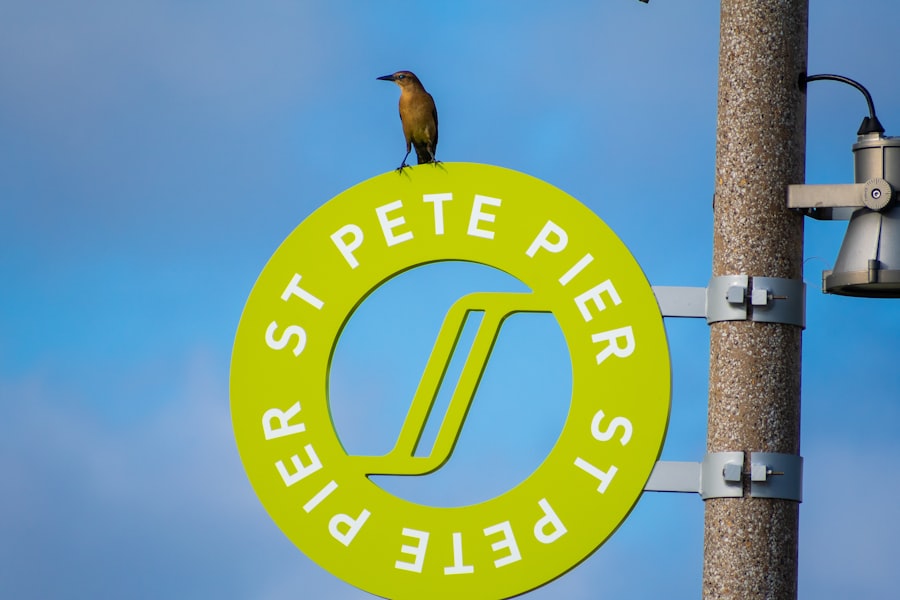 Peer-to-Peer Collaboration