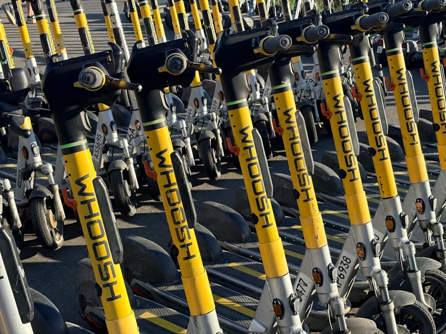 Sustainable Mobility