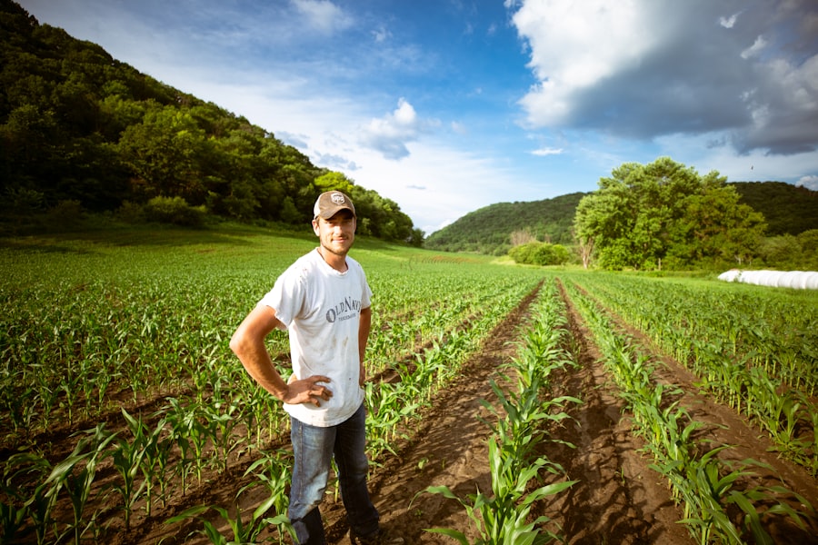 Boosting Agricultural Yields via Precision Machine Learning Analytics 3 Agricultural Yields