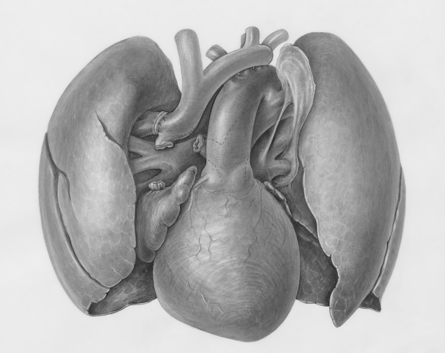 Bio-Printed Organs
