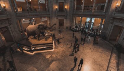 Photo Immersive Historical Experiences