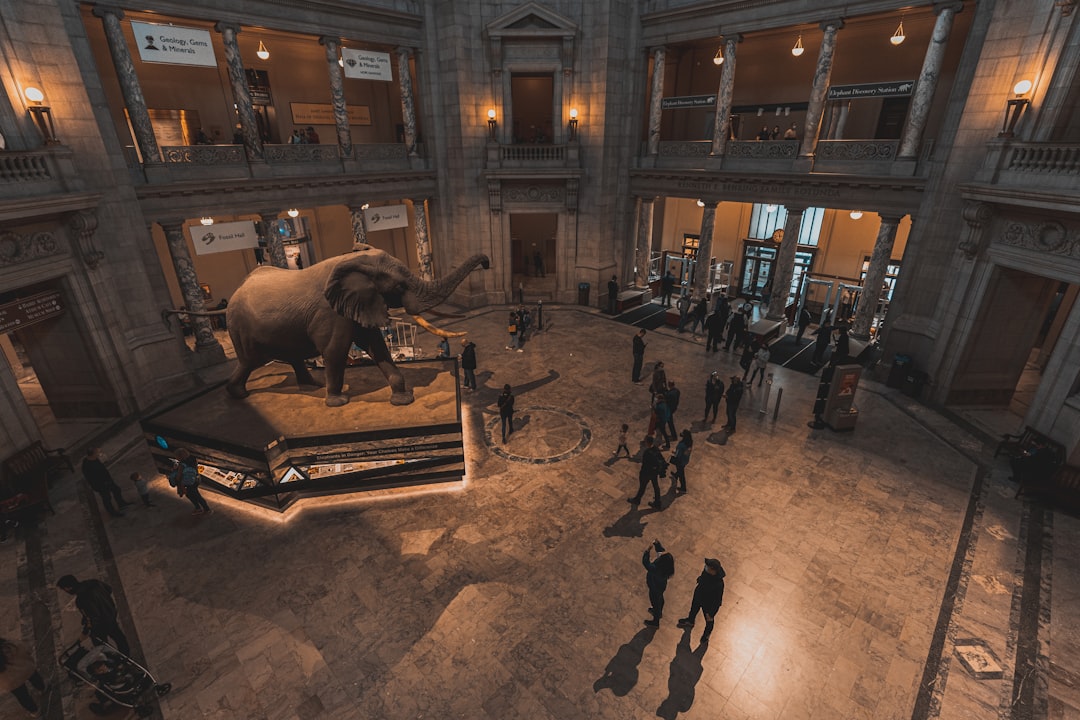 Photo Immersive Historical Experiences