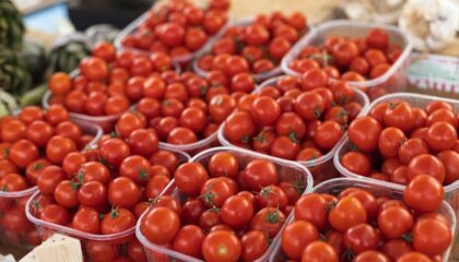 Photo Pomodoro Technique