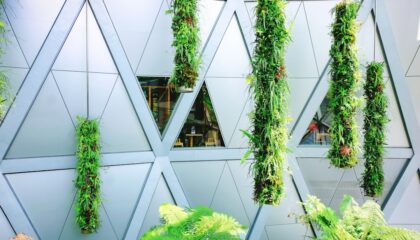 Photo Vertical Farming Solutions