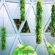 Photo Vertical Farming Solutions