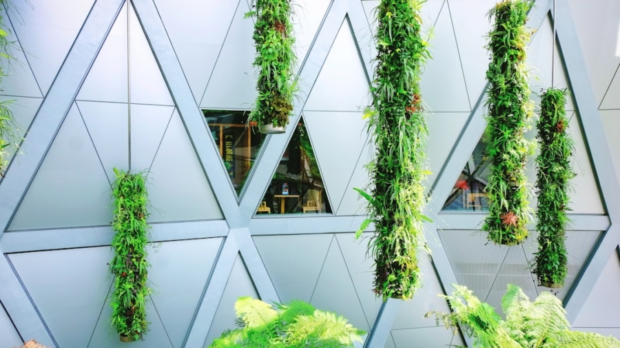 Photo Vertical Farming Solutions