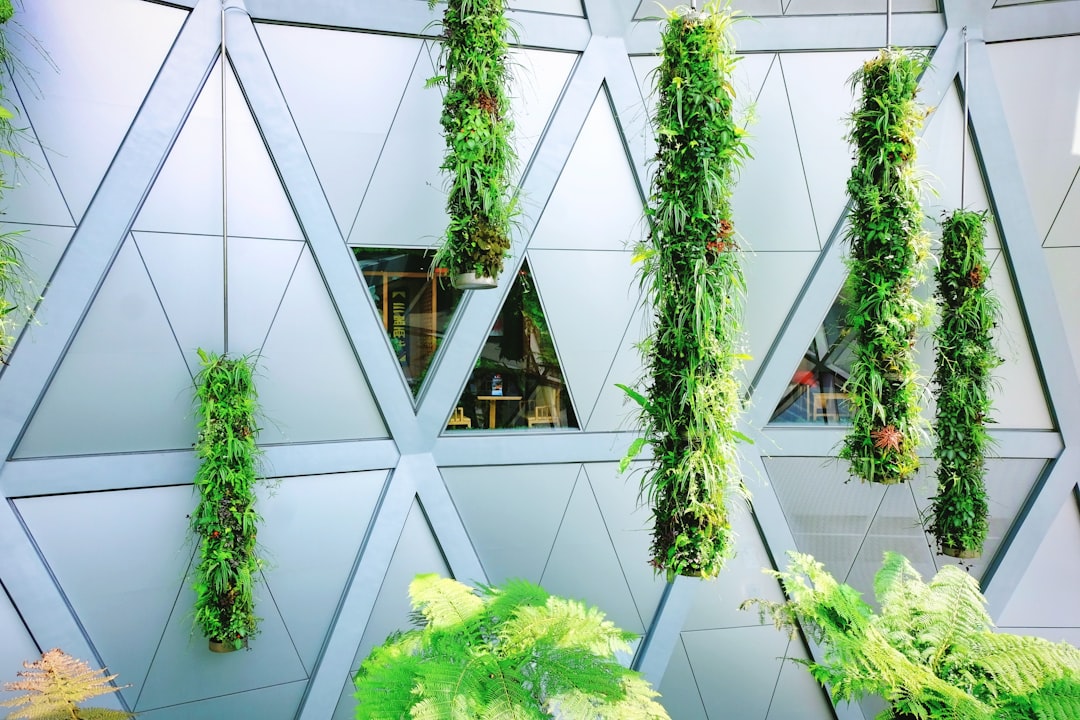Photo Vertical Farming Solutions