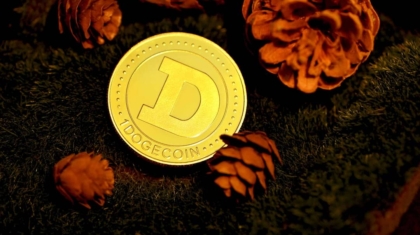 Photo Decentralized Autonomous Organizations
