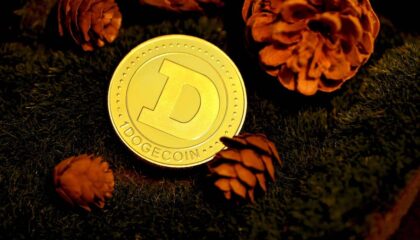 Photo Decentralized Autonomous Organizations