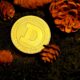 Photo Decentralized Autonomous Organizations