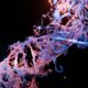 Photo Synthetic Biology Innovations