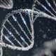 Photo Synthetic Biology