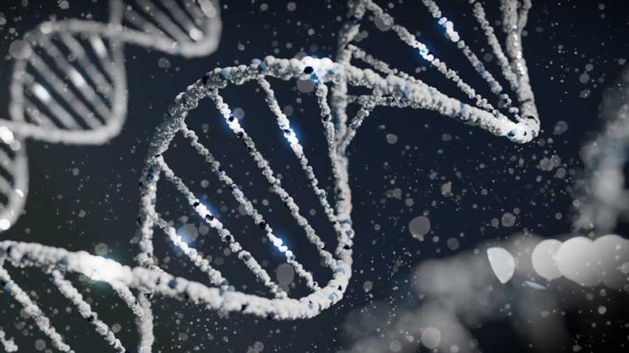 Photo Synthetic Biology