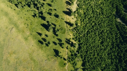 Photo Carbon Footprints