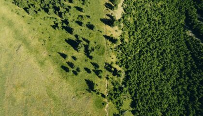 Photo Carbon Footprints