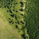 Photo Carbon Footprints