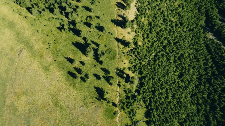 Photo Carbon Footprints