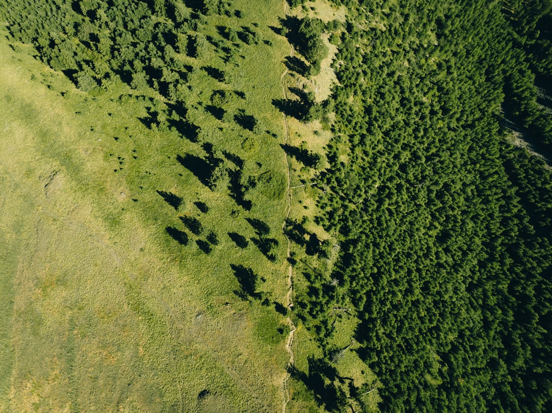 Photo Carbon Footprints