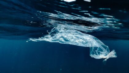 Photo Ocean Plastic