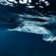 Photo Ocean Plastic