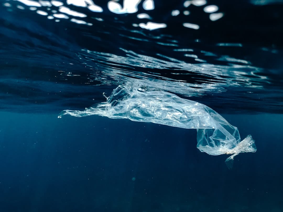 Photo Ocean Plastic