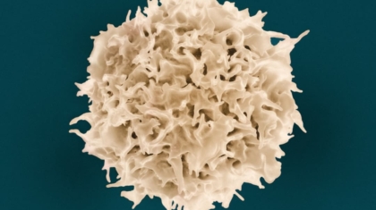 Photo Stem Cell Engineering