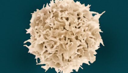 Photo Stem Cell Engineering