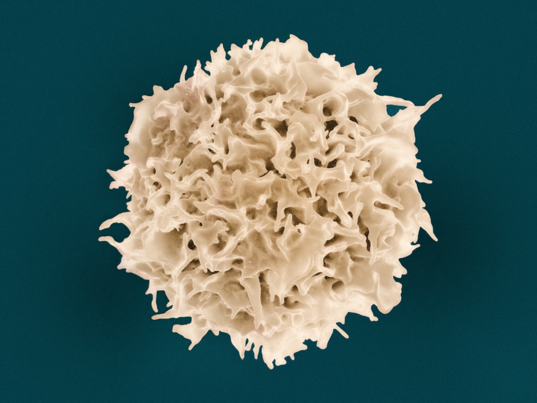 Photo Stem Cell Engineering