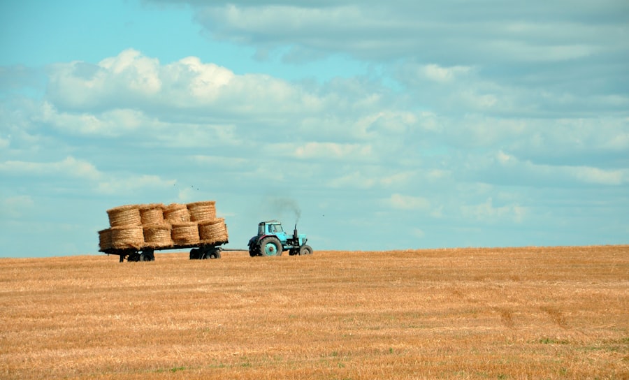 Boosting Agricultural Yields via Precision Machine Learning Analytics 4 Photo Agricultural Yields