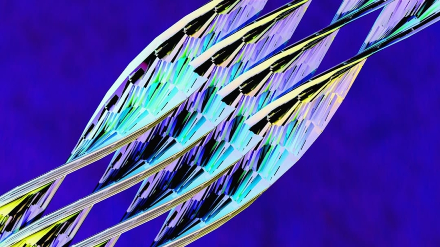 Photo Quantum Annealing