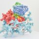 Photo Phage Therapy