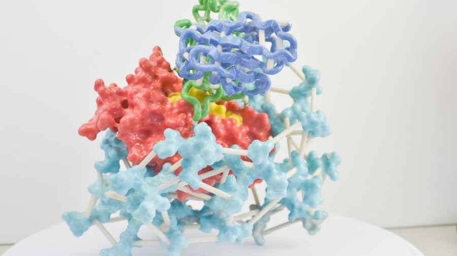 Photo Phage Therapy