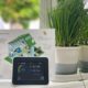 Photo Smart Home Ecosystems
