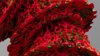 Photo Biomimicry Designs