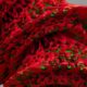 Photo Biomimicry Designs