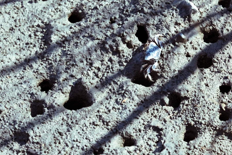 Photo Lunar Mining