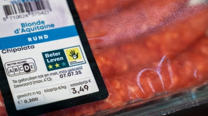 Photo Lab-Grown Meat Alternatives