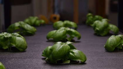 Photo Hydroponic Systems