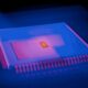 Photo Photonic Quantum Processors