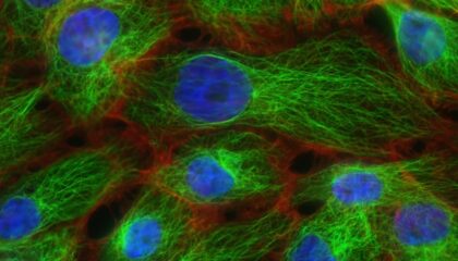 Photo Synthetic Biology Innovations