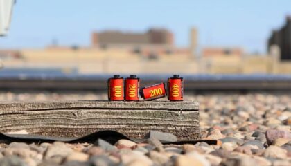 Photo Biodegradable Batteries