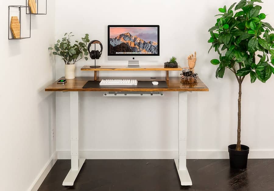Ergonomic Home Office