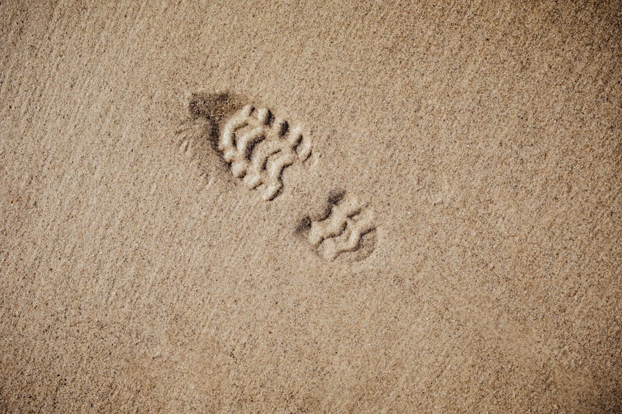 Reducing Carbon Footprints in Cloud Infrastructure Through Renewable Energy 3 Carbon Footprints