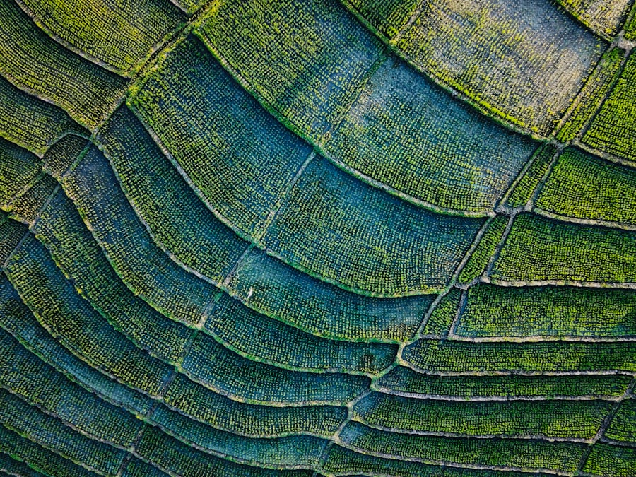 Sustainable Agriculture Systems