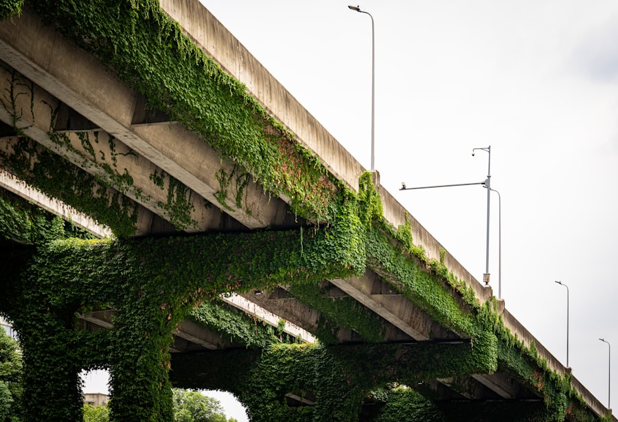 Climate-Resilient Infrastructure
