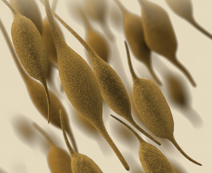 Microbial Fuel Cells